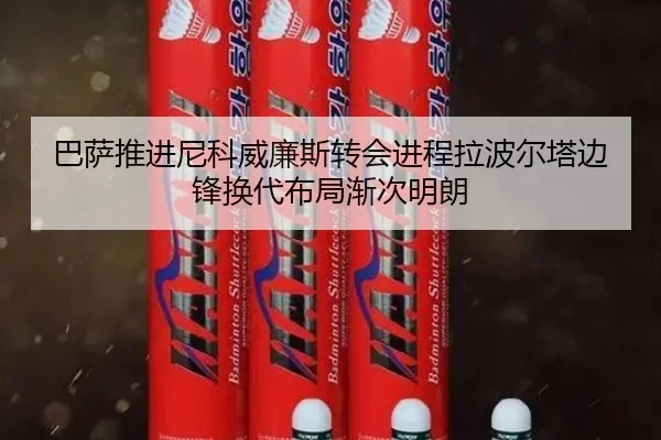 ba-sa-tui-jin-ni-ke-wei-lian-si-zhuan-hui-jin-cheng-la-bo-er-ta-bian-feng-huan-dai-bu-ju-jian-ci-ming-lang-2-568.jpg